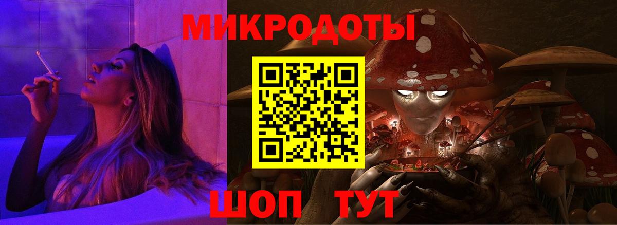 Псилоцибиновые грибы Psilocybine cubensis  Вход с VPN  Истра  Псилоцибиновые грибы Cubensis 